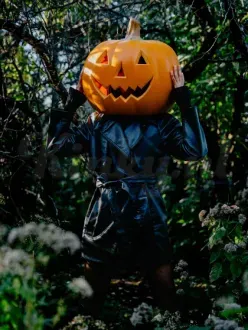 company11-netherland11-vv-club-in-amsterdam-69ccd7f306fd4f00133737e9